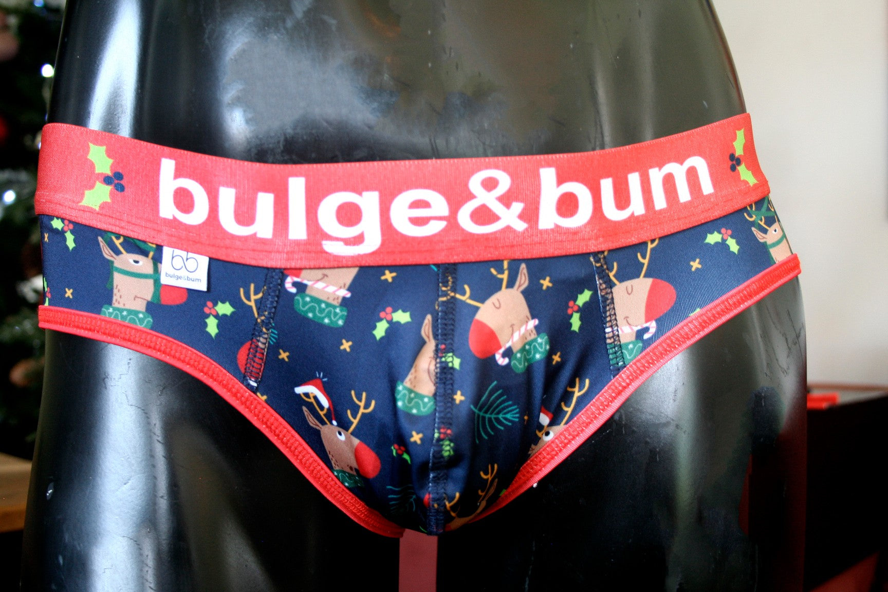 Rudolph Brief