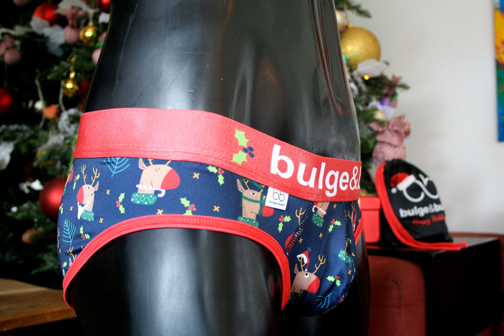 Rudolph Brief