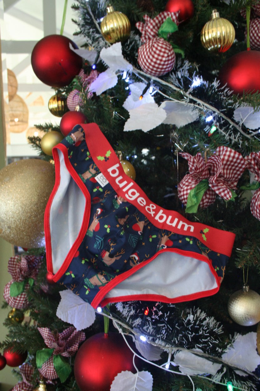 Rudolph Brief